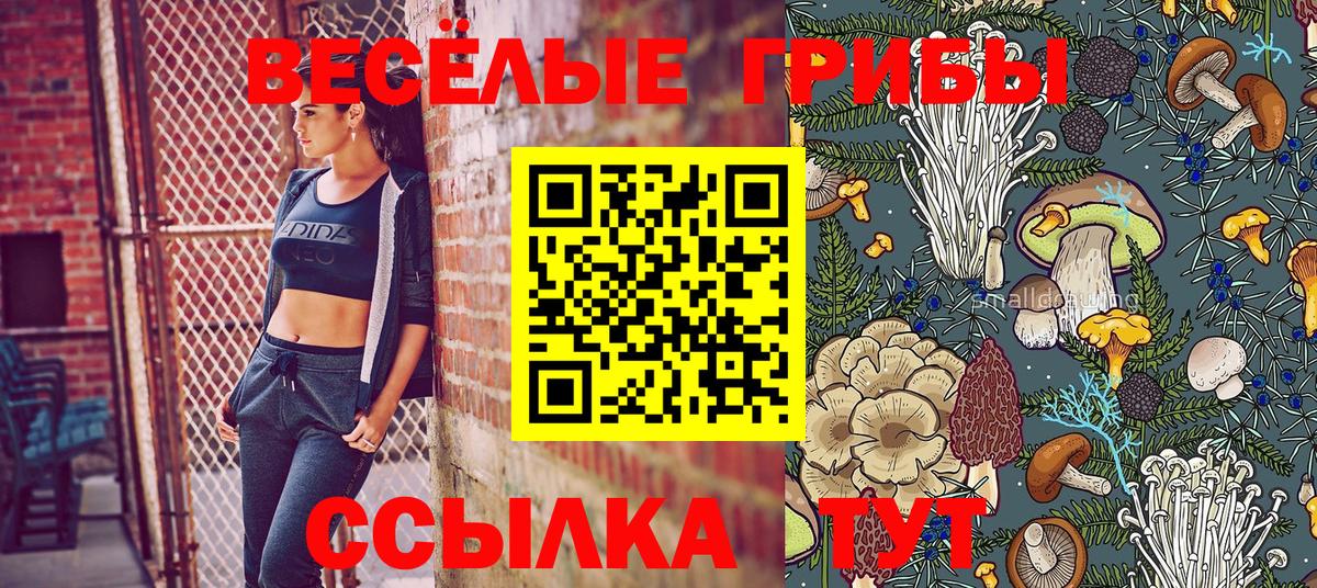 Красногорск  Галлюциногенные грибы Psilocybine cubensis  Вход с VPN 