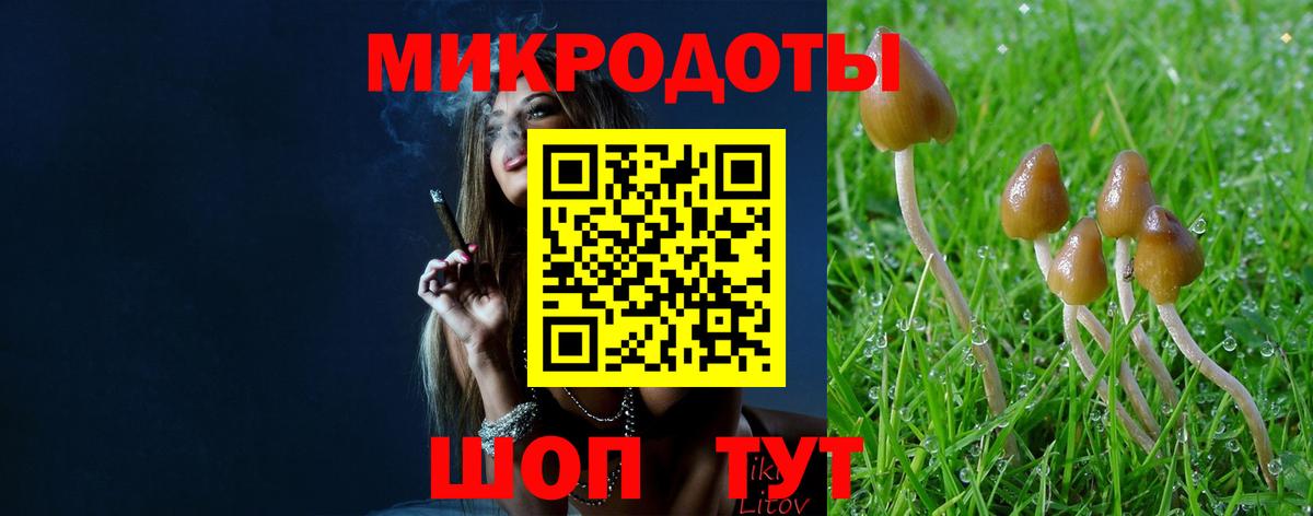 Галлюциногенные грибы ЛСД Красногорск