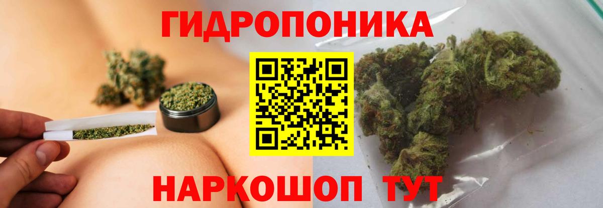 Марихуана планчик  Марихуана OG Kush  Бошки марихуана Ganja  Вход с VPN  Красногорск  Марихуана Ganja 